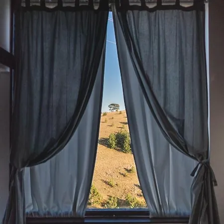 Hébergement de vacances Wild Nest Bear *