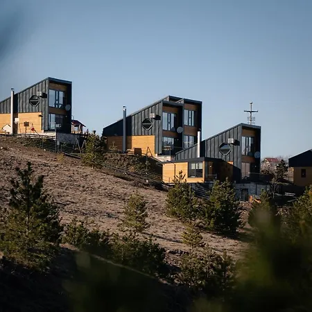 Wild Nest Bear Zlatibor