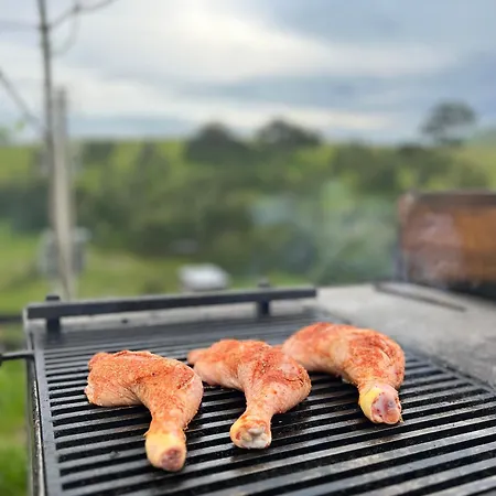 Hébergement de vacances Wild Nest Bear