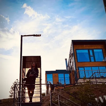 Wild Nest Bear Hébergement de vacances *