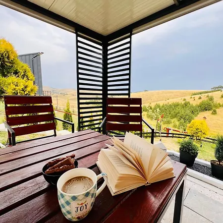 Wild Nest Bear * Zlatibor