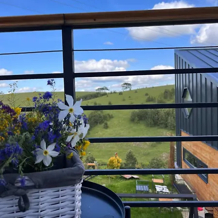 Wild Nest Bear Holiday home *