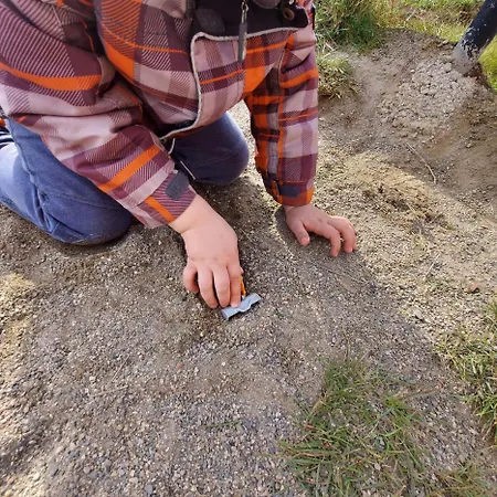 Wild Nest Bear Hébergement de vacances
