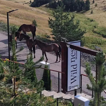 Hébergement de vacances Wild Nest Bear *