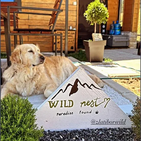 Wild Nest Bear Zlatibor