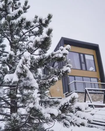 Hébergement de vacances Wild Nest Bear