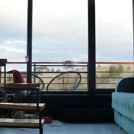 Wild Nest Bear * Zlatibor