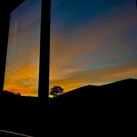 Wild Nest Bear Hébergement de vacances