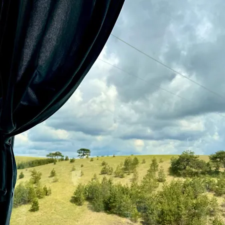 Wild Nest Bear Holiday home *