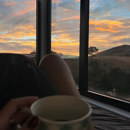 Hébergement de vacances Wild Nest Bear *