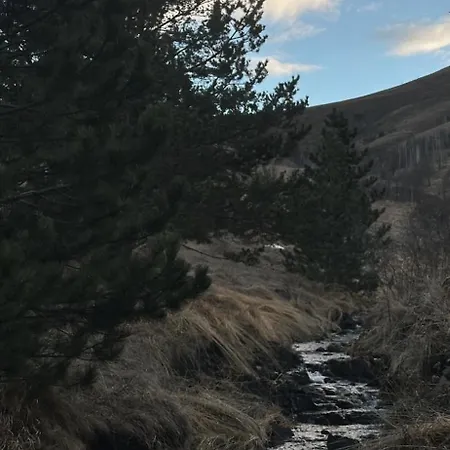 Hébergement de vacances Wild Nest Bear Zlatibor