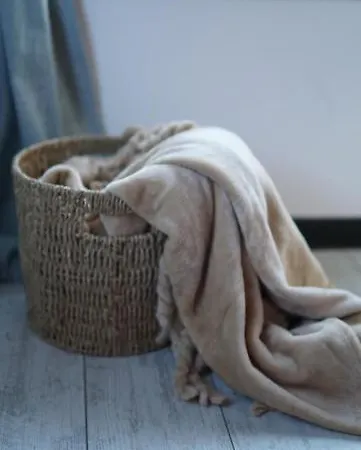 Wild Nest Bear * Zlatibor