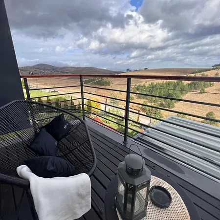 Wild Nest Bear Zlatibor