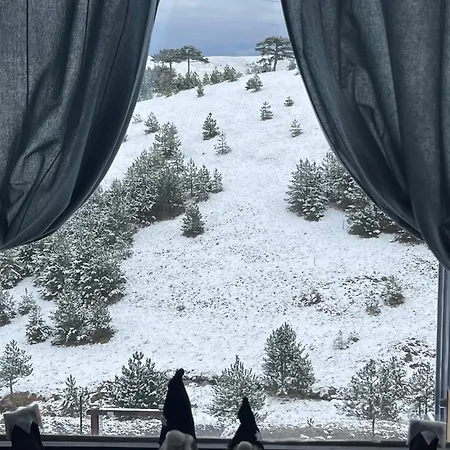 Wild Nest Bear Hébergement de vacances Zlatibor